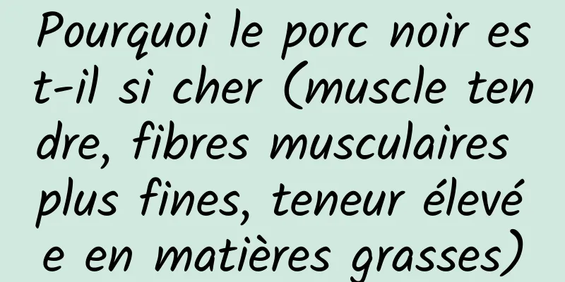 Pourquoi le porc noir est-il si cher (muscle tendre, fibres musculaires plus fines, teneur élevée en matières grasses)