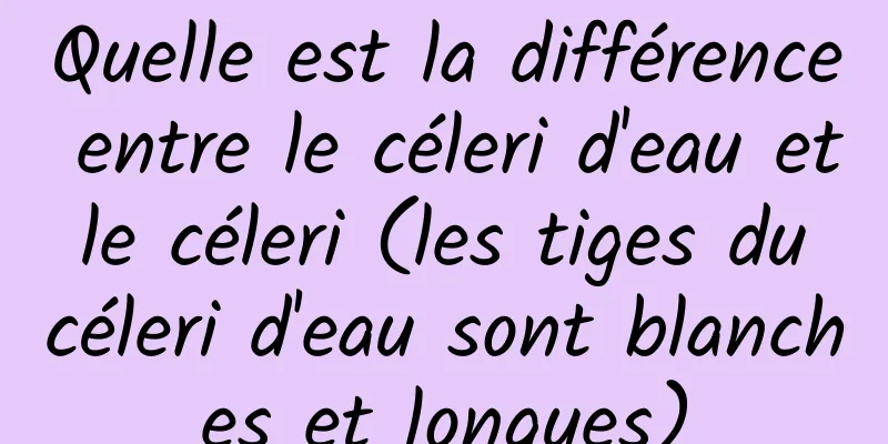 Quelle est la différence entre le céleri d'eau et le céleri (les tiges du céleri d'eau sont blanches et longues)