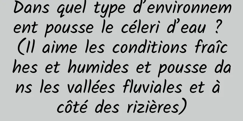 Dans quel type d’environnement pousse le céleri d’eau ? (Il aime les conditions fraîches et humides et pousse dans les vallées fluviales et à côté des rizières)