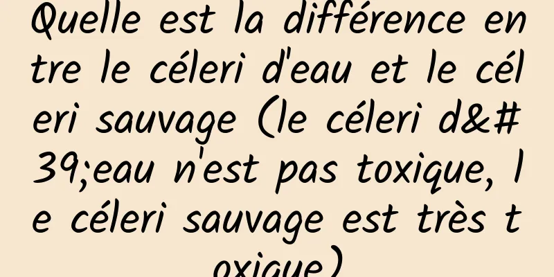 Quelle est la différence entre le céleri d'eau et le céleri sauvage (le céleri d'eau n'est pas toxique, le céleri sauvage est très toxique)