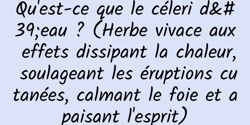 Qu'est-ce que le céleri d'eau ? (Herbe vivace aux effets dissipant la chaleur, soulageant les éruptions cutanées, calmant le foie et apaisant l'esprit)