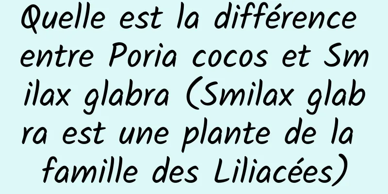 Quelle est la différence entre Poria cocos et Smilax glabra (Smilax glabra est une plante de la famille des Liliacées)