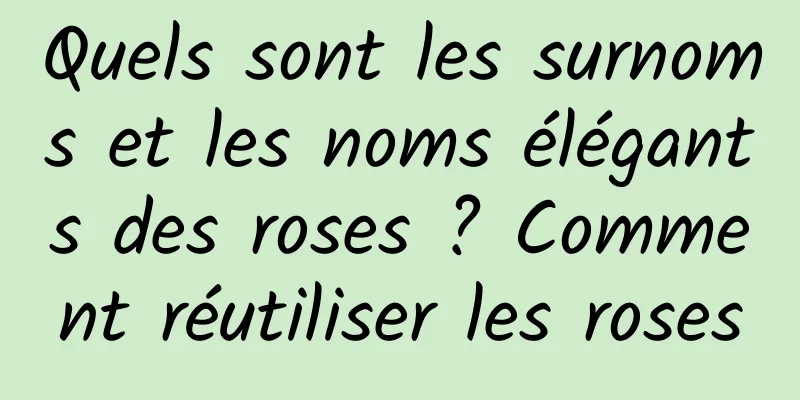 Quels sont les surnoms et les noms élégants des roses ? Comment réutiliser les roses