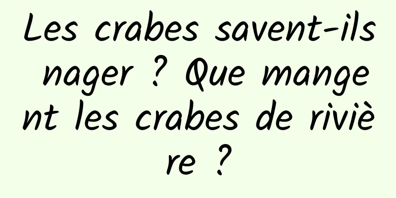 Les crabes savent-ils nager ? Que mangent les crabes de rivière ?