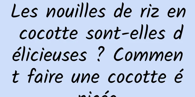 Les nouilles de riz en cocotte sont-elles délicieuses ? Comment faire une cocotte épicée