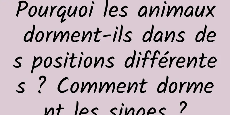 Pourquoi les animaux dorment-ils dans des positions différentes ? Comment dorment les singes ?