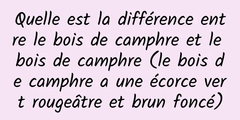 Quelle est la différence entre le bois de camphre et le bois de camphre (le bois de camphre a une écorce vert rougeâtre et brun foncé)