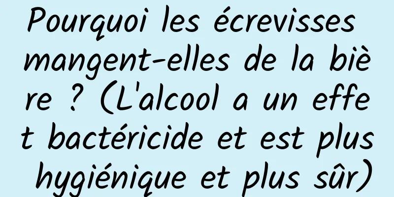 Pourquoi les écrevisses mangent-elles de la bière ? (L'alcool a un effet bactéricide et est plus hygiénique et plus sûr)
