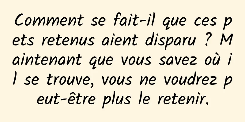 Comment se fait-il que ces pets retenus aient disparu ? Maintenant que vous savez où il se trouve, vous ne voudrez peut-être plus le retenir.