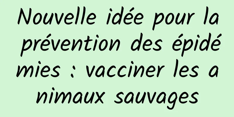 Nouvelle idée pour la prévention des épidémies : vacciner les animaux sauvages