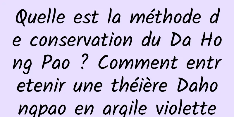Quelle est la méthode de conservation du Da Hong Pao ? Comment entretenir une théière Dahongpao en argile violette