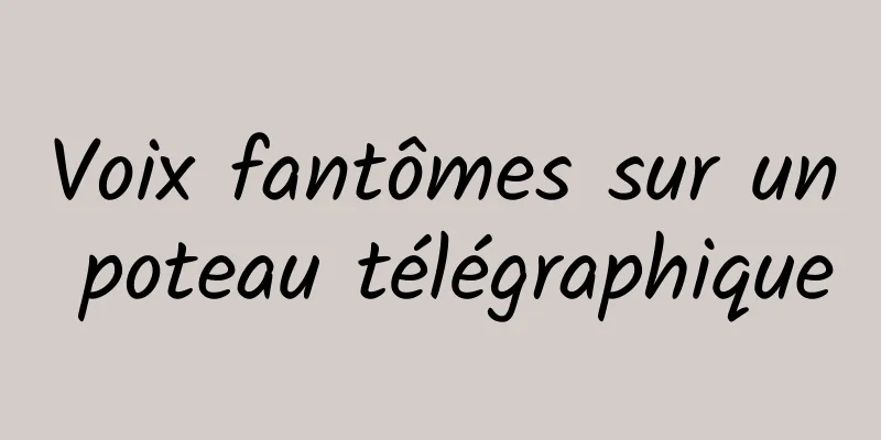 Voix fantômes sur un poteau télégraphique