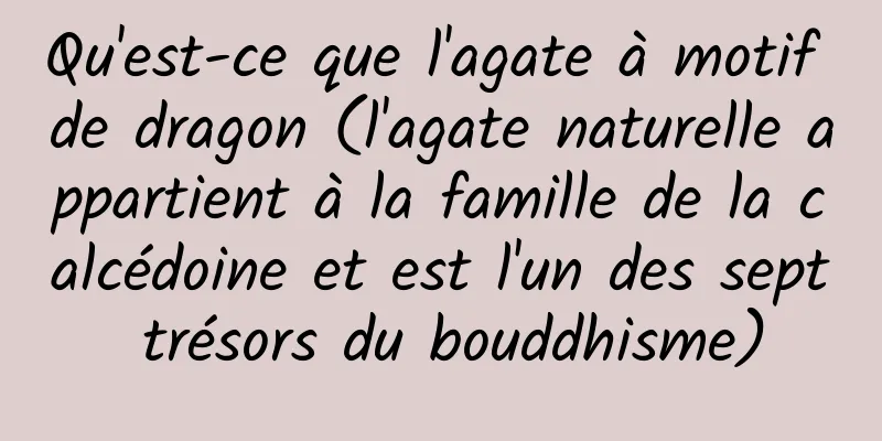 Qu'est-ce que l'agate à motif de dragon (l'agate naturelle appartient à la famille de la calcédoine et est l'un des sept trésors du bouddhisme)