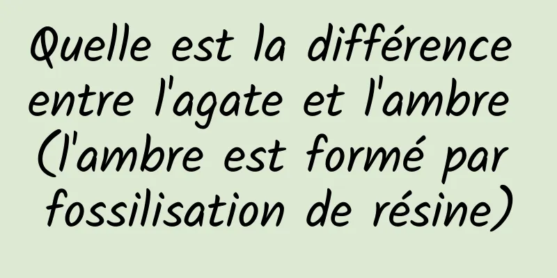 Quelle est la différence entre l'agate et l'ambre (l'ambre est formé par fossilisation de résine)