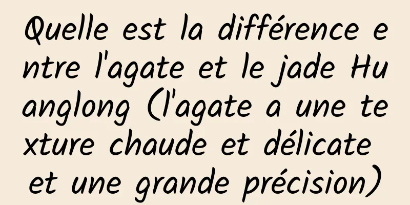Quelle est la différence entre l'agate et le jade Huanglong (l'agate a une texture chaude et délicate et une grande précision)