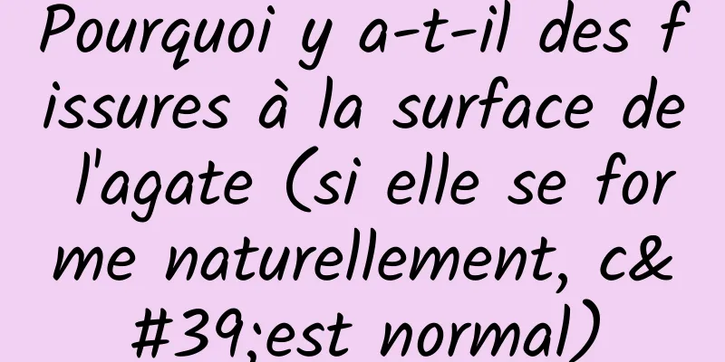 Pourquoi y a-t-il des fissures à la surface de l'agate (si elle se forme naturellement, c'est normal)