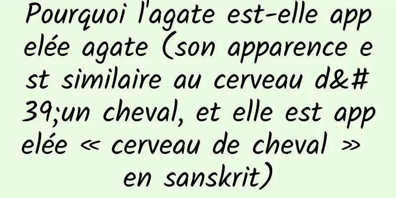 Pourquoi l'agate est-elle appelée agate (son apparence est similaire au cerveau d'un cheval, et elle est appelée « cerveau de cheval » en sanskrit)