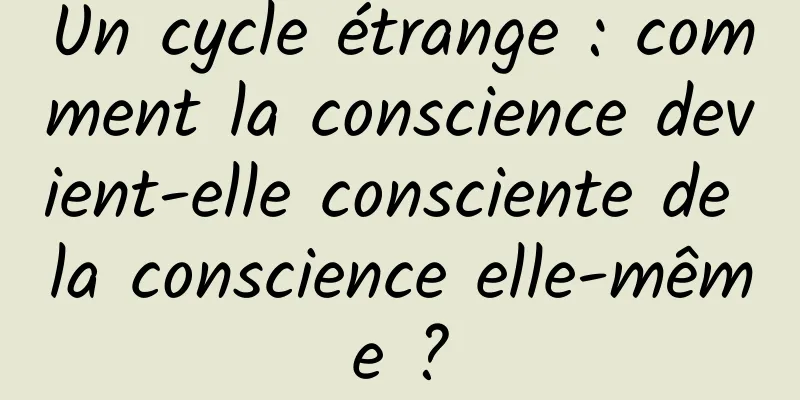 Un cycle étrange : comment la conscience devient-elle consciente de la conscience elle-même ?