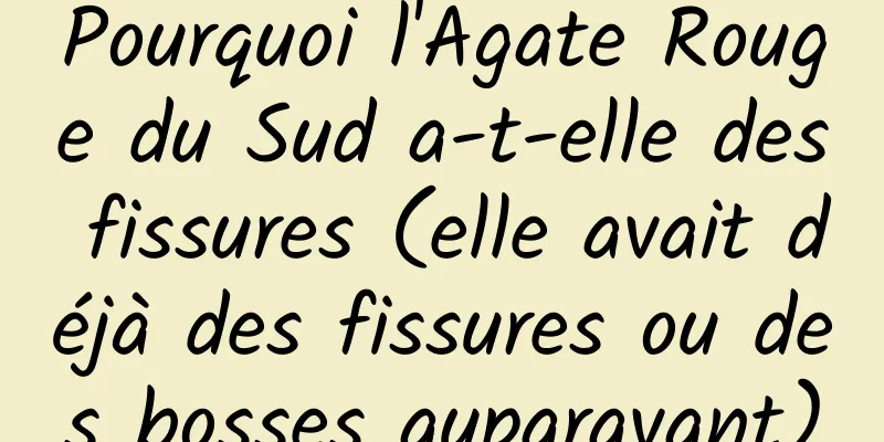 Pourquoi l'Agate Rouge du Sud a-t-elle des fissures (elle avait déjà des fissures ou des bosses auparavant)