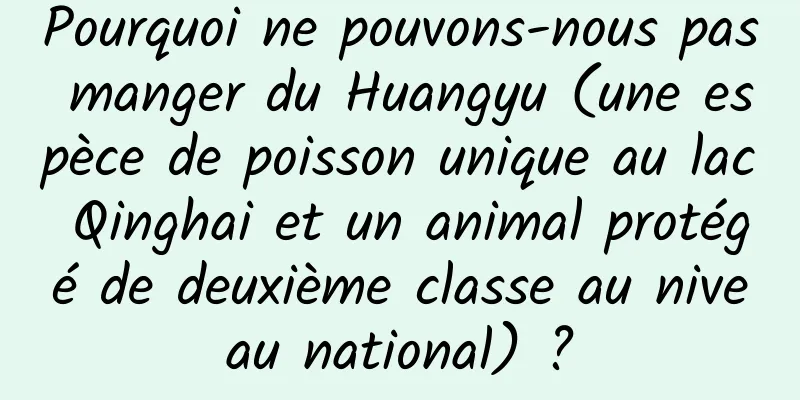 Pourquoi ne pouvons-nous pas manger du Huangyu (une espèce de poisson unique au lac Qinghai et un animal protégé de deuxième classe au niveau national) ?