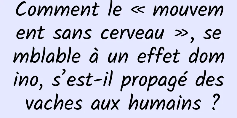 Comment le « mouvement sans cerveau », semblable à un effet domino, s’est-il propagé des vaches aux humains ?