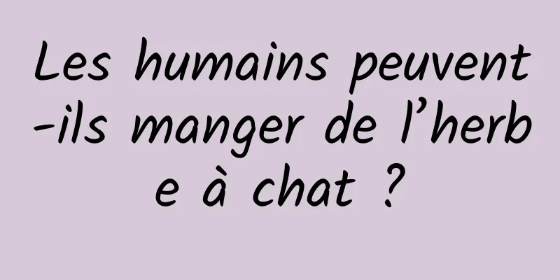 Les humains peuvent-ils manger de l’herbe à chat ?