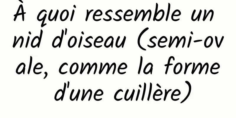 À quoi ressemble un nid d'oiseau (semi-ovale, comme la forme d'une cuillère)