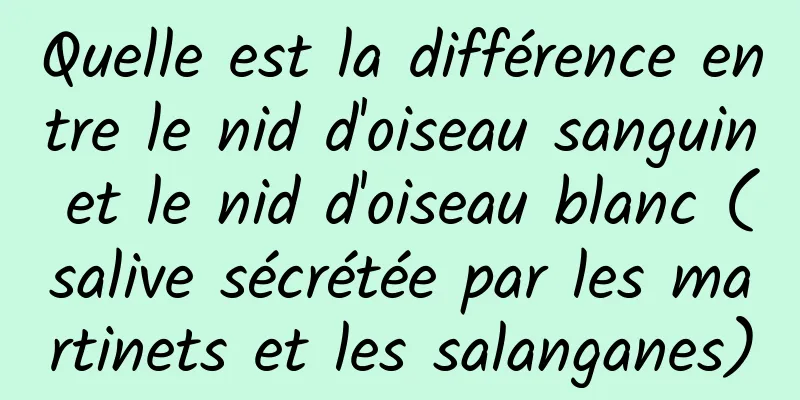 Quelle est la différence entre le nid d'oiseau sanguin et le nid d'oiseau blanc (salive sécrétée par les martinets et les salanganes)