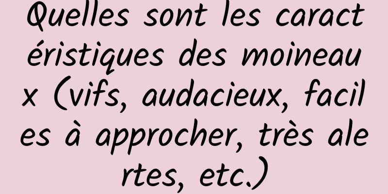 Quelles sont les caractéristiques des moineaux (vifs, audacieux, faciles à approcher, très alertes, etc.)
