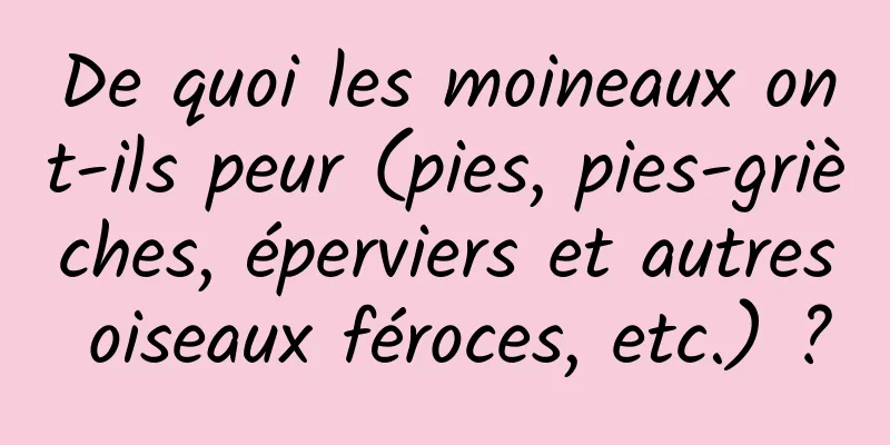 De quoi les moineaux ont-ils peur (pies, pies-grièches, éperviers et autres oiseaux féroces, etc.) ?