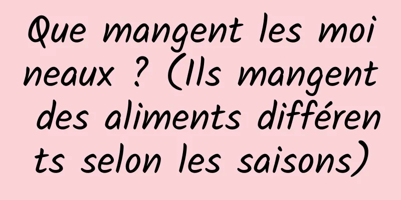 Que mangent les moineaux ? (Ils mangent des aliments différents selon les saisons)
