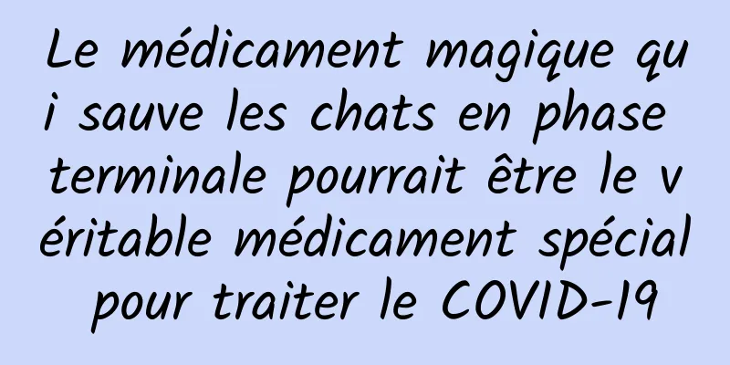 Le médicament magique qui sauve les chats en phase terminale pourrait être le véritable médicament spécial pour traiter le COVID-19