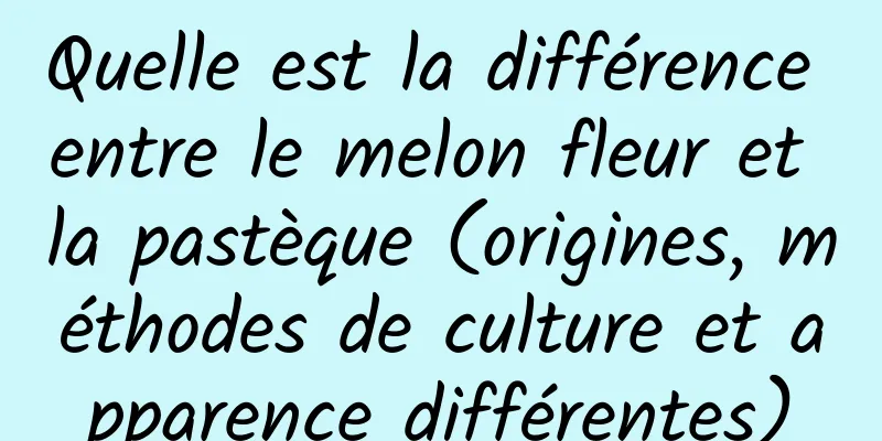 Quelle est la différence entre le melon fleur et la pastèque (origines, méthodes de culture et apparence différentes)