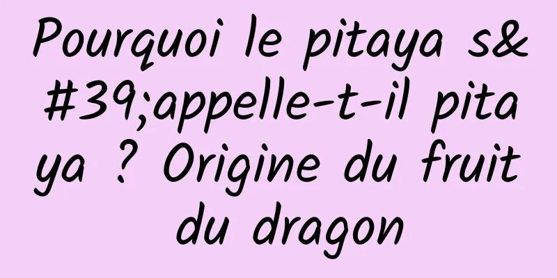 Pourquoi le pitaya s'appelle-t-il pitaya ? Origine du fruit du dragon