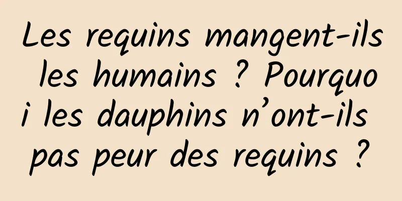 Les requins mangent-ils les humains ? Pourquoi les dauphins n’ont-ils pas peur des requins ?