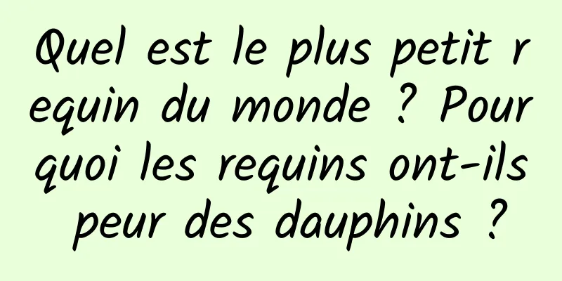 Quel est le plus petit requin du monde ? Pourquoi les requins ont-ils peur des dauphins ?