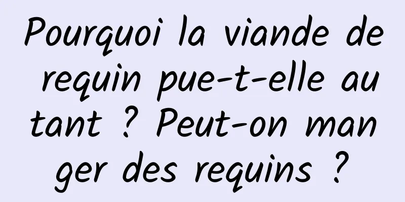 Pourquoi la viande de requin pue-t-elle autant ? Peut-on manger des requins ?