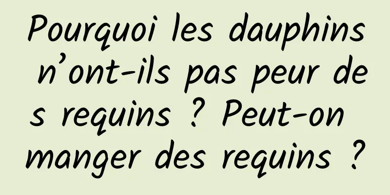 Pourquoi les dauphins n’ont-ils pas peur des requins ? Peut-on manger des requins ?