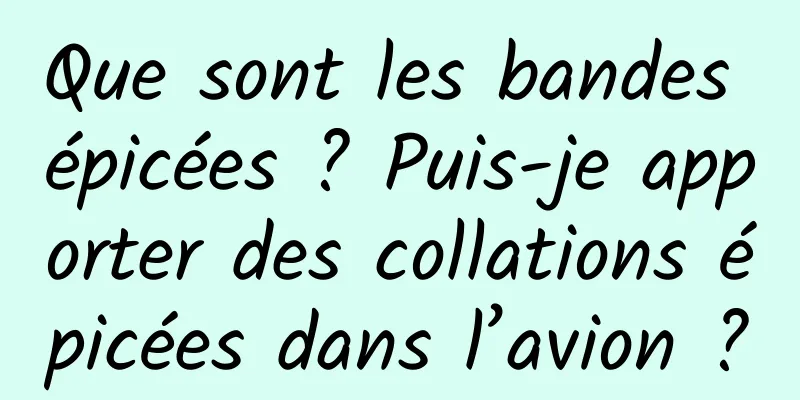 Que sont les bandes épicées ? Puis-je apporter des collations épicées dans l’avion ?