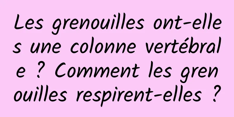 Les grenouilles ont-elles une colonne vertébrale ? Comment les grenouilles respirent-elles ?