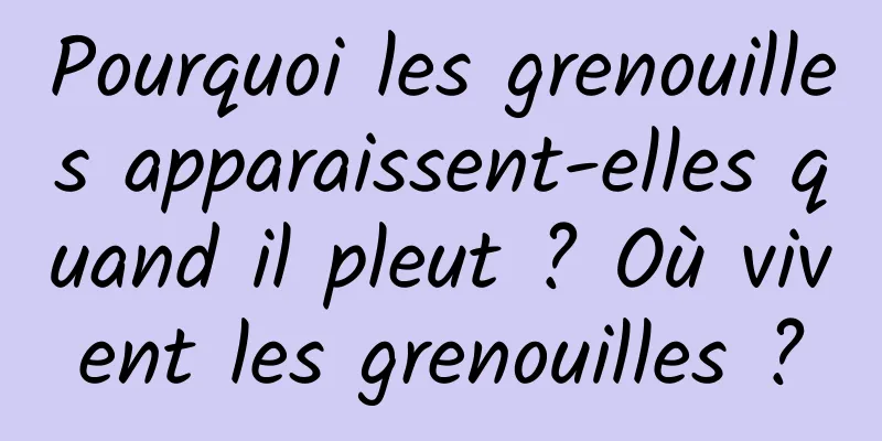Pourquoi les grenouilles apparaissent-elles quand il pleut ? Où vivent les grenouilles ?