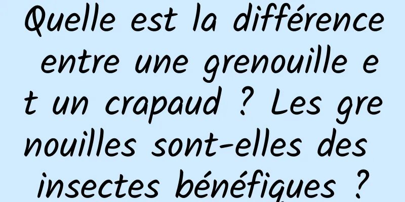 Quelle est la différence entre une grenouille et un crapaud ? Les grenouilles sont-elles des insectes bénéfiques ?