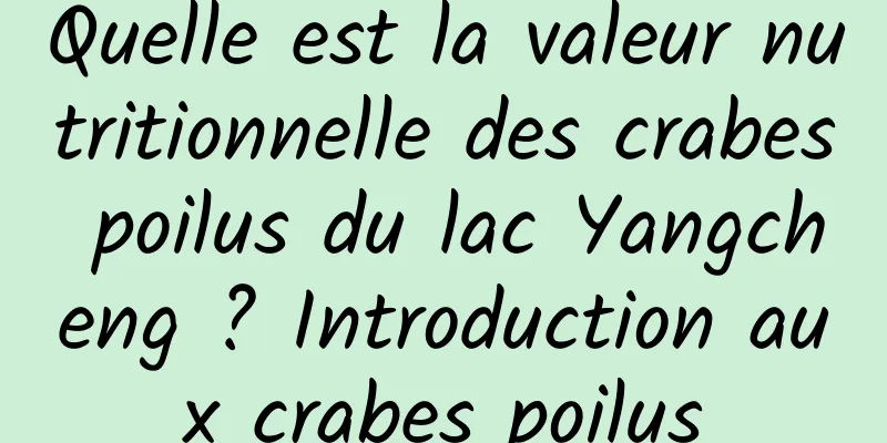 Quelle est la valeur nutritionnelle des crabes poilus du lac Yangcheng ? Introduction aux crabes poilus