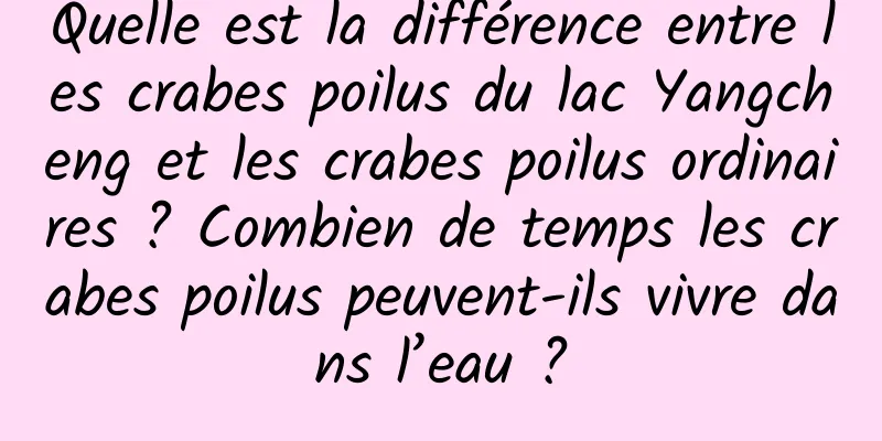 Quelle est la différence entre les crabes poilus du lac Yangcheng et les crabes poilus ordinaires ? Combien de temps les crabes poilus peuvent-ils vivre dans l’eau ?