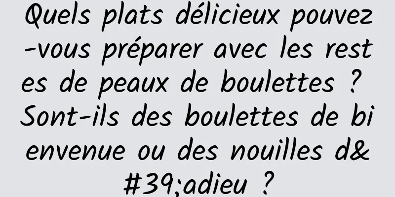 Quels plats délicieux pouvez-vous préparer avec les restes de peaux de boulettes ? Sont-ils des boulettes de bienvenue ou des nouilles d'adieu ?