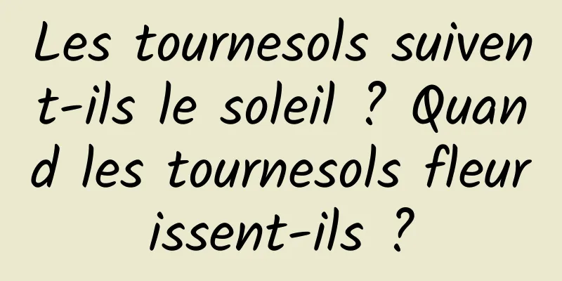 Les tournesols suivent-ils le soleil ? Quand les tournesols fleurissent-ils ?