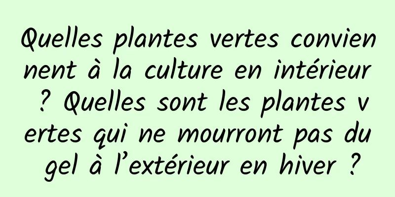 Quelles plantes vertes conviennent à la culture en intérieur ? Quelles sont les plantes vertes qui ne mourront pas du gel à l’extérieur en hiver ?