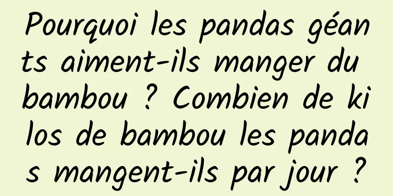 Pourquoi les pandas géants aiment-ils manger du bambou ? Combien de kilos de bambou les pandas mangent-ils par jour ?