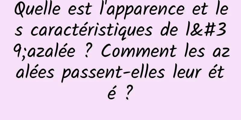 Quelle est l'apparence et les caractéristiques de l'azalée ? Comment les azalées passent-elles leur été ?
