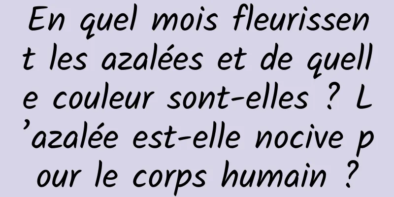 En quel mois fleurissent les azalées et de quelle couleur sont-elles ? L’azalée est-elle nocive pour le corps humain ?